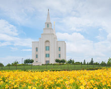 Load image into Gallery viewer, Blue and Gold Kansas City