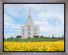 Load image into Gallery viewer, Blue and Gold Kansas City
