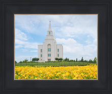 Load image into Gallery viewer, Blue and Gold Kansas City