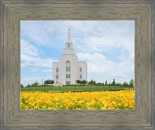 Load image into Gallery viewer, Blue and Gold Kansas City