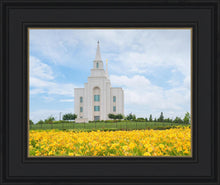 Load image into Gallery viewer, Blue and Gold Kansas City