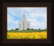 Load image into Gallery viewer, Blue and Gold Kansas City