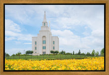 Load image into Gallery viewer, Blue and Gold Kansas City