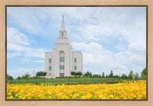 Load image into Gallery viewer, Blue and Gold Kansas City