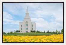 Load image into Gallery viewer, Blue and Gold Kansas City