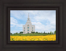 Load image into Gallery viewer, Blue and Gold Kansas City