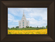 Load image into Gallery viewer, Blue and Gold Kansas City