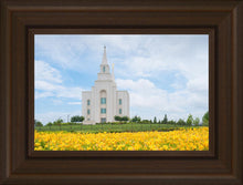 Load image into Gallery viewer, Blue and Gold Kansas City