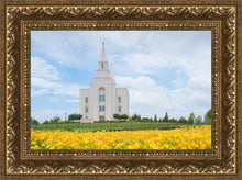 Load image into Gallery viewer, Blue and Gold Kansas City
