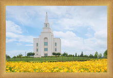 Load image into Gallery viewer, Blue and Gold Kansas City