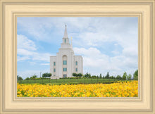 Load image into Gallery viewer, Blue and Gold Kansas City