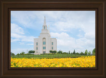 Load image into Gallery viewer, Blue and Gold Kansas City