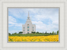Load image into Gallery viewer, Blue and Gold Kansas City