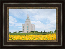 Load image into Gallery viewer, Blue and Gold Kansas City