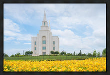 Load image into Gallery viewer, Blue and Gold Kansas City