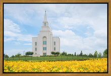 Load image into Gallery viewer, Blue and Gold Kansas City