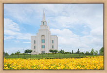 Load image into Gallery viewer, Blue and Gold Kansas City