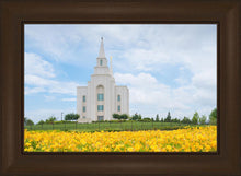 Load image into Gallery viewer, Blue and Gold Kansas City