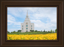 Load image into Gallery viewer, Blue and Gold Kansas City