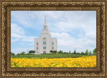 Load image into Gallery viewer, Blue and Gold Kansas City