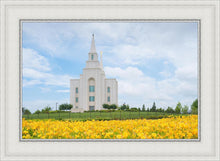 Load image into Gallery viewer, Blue and Gold Kansas City