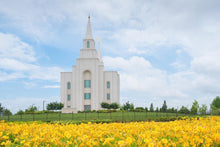 Load image into Gallery viewer, Blue and Gold Kansas City
