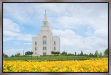 Load image into Gallery viewer, Blue and Gold Kansas City