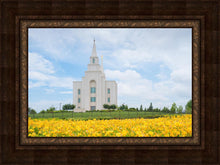 Load image into Gallery viewer, Blue and Gold Kansas City