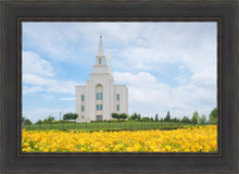 Load image into Gallery viewer, Blue and Gold Kansas City