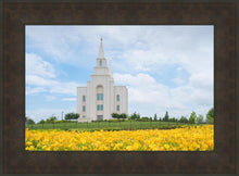 Load image into Gallery viewer, Blue and Gold Kansas City