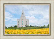 Load image into Gallery viewer, Blue and Gold Kansas City