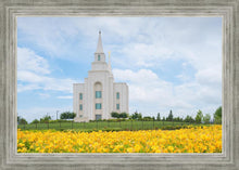 Load image into Gallery viewer, Blue and Gold Kansas City