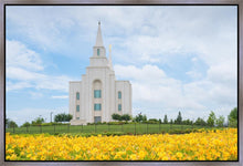 Load image into Gallery viewer, Blue and Gold Kansas City