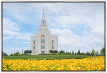 Load image into Gallery viewer, Blue and Gold Kansas City