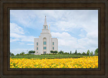 Load image into Gallery viewer, Blue and Gold Kansas City