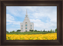 Load image into Gallery viewer, Blue and Gold Kansas City