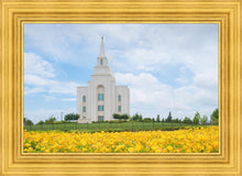 Load image into Gallery viewer, Blue and Gold Kansas City