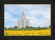 Load image into Gallery viewer, Blue and Gold Kansas City