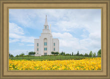 Load image into Gallery viewer, Blue and Gold Kansas City