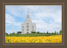 Load image into Gallery viewer, Blue and Gold Kansas City