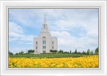 Load image into Gallery viewer, Blue and Gold Kansas City