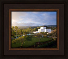 Load image into Gallery viewer, Laie Island Glow