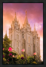 Load image into Gallery viewer, Salt Lake Tulips