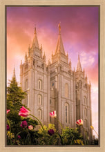 Load image into Gallery viewer, Salt Lake Tulips