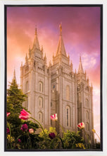 Load image into Gallery viewer, Salt Lake Tulips