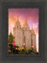 Load image into Gallery viewer, Salt Lake Tulips