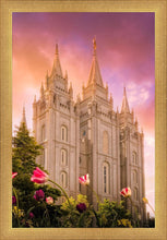 Load image into Gallery viewer, Salt Lake Tulips
