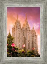 Load image into Gallery viewer, Salt Lake Tulips
