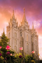 Load image into Gallery viewer, Salt Lake Tulips