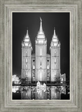 Load image into Gallery viewer, Salt Lake Nativity